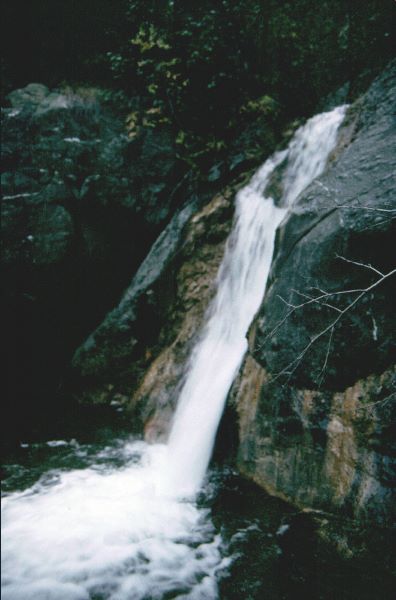 ../Images/055Domville Creek.jpg